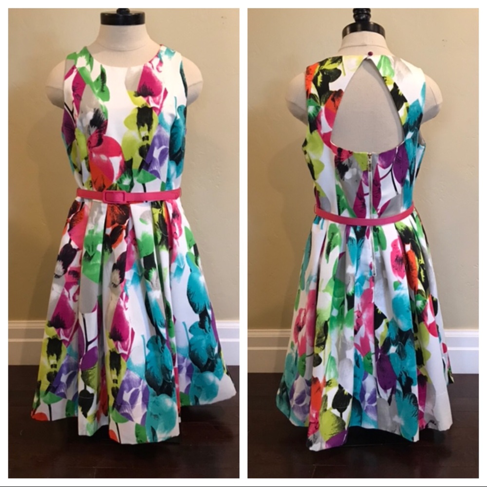 Eliza J Belted Print Faille Fit & Flare Dress Size 8